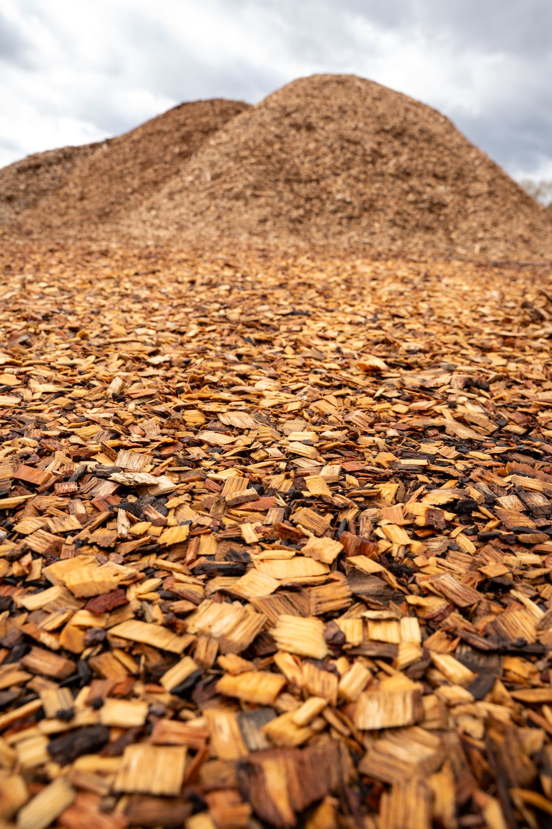 Mulch and sawdust